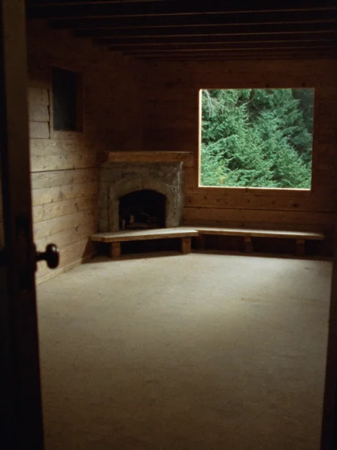 Empty timber living room with a fireplace and forest window