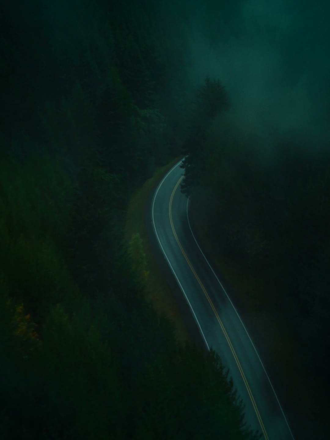 An Oregon forest road, a hooded stalker, a secluded house at night and moonlit trees